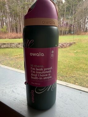 owala Insulated Water Bottle with Built-In Straw — Green & Purple